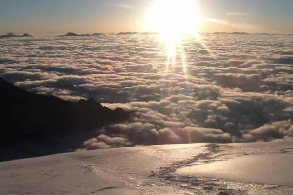 雪隆包图片