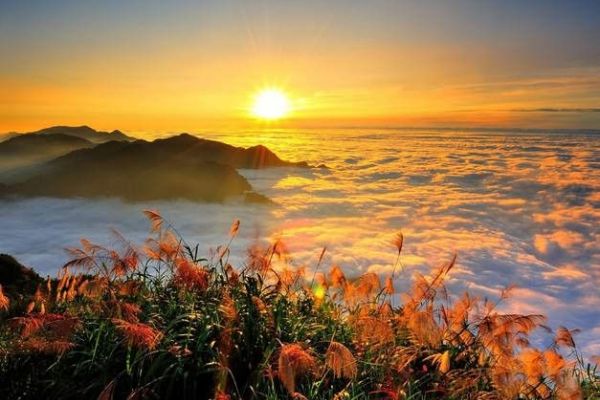 阿里山图片