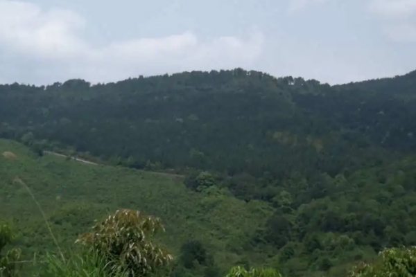 青原山图片
