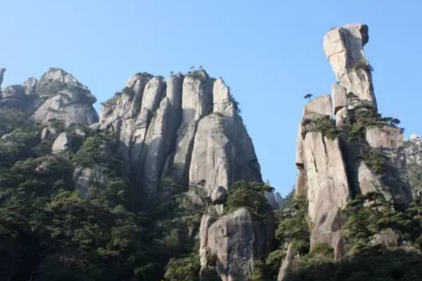 骆驼峰图片