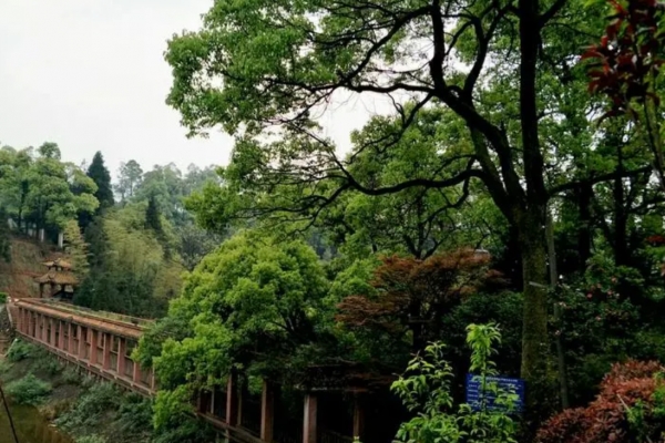 骆崃山图片