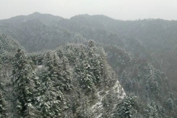 首阳山图片