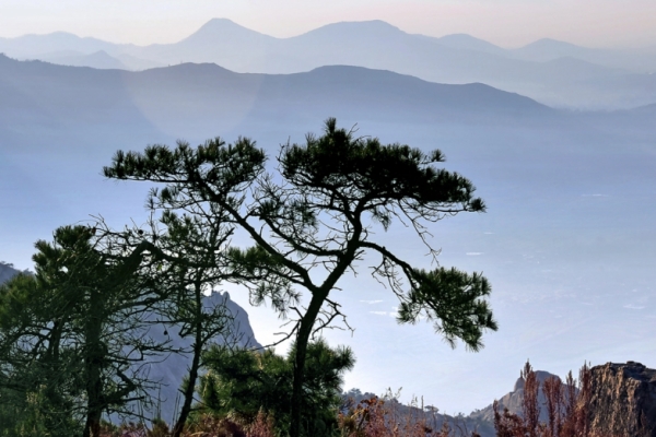 马鬐山图片
