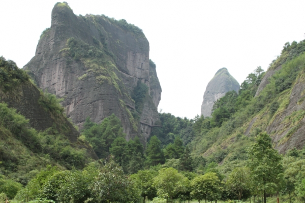 骆驼峰图片