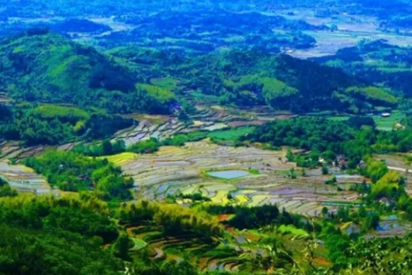 黄兖山图片