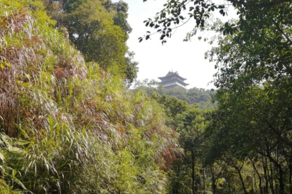 高榜山图片