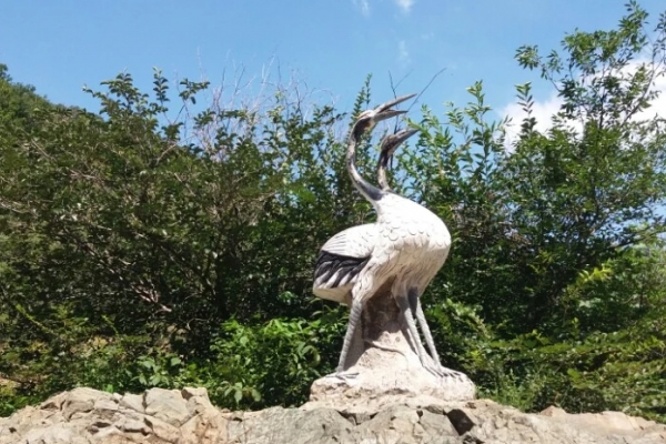 鹤伴山图片