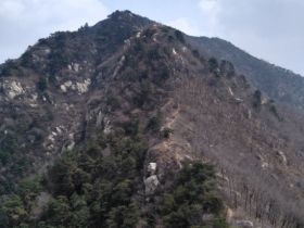 麦黄山