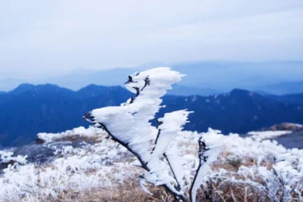 齐云山图片