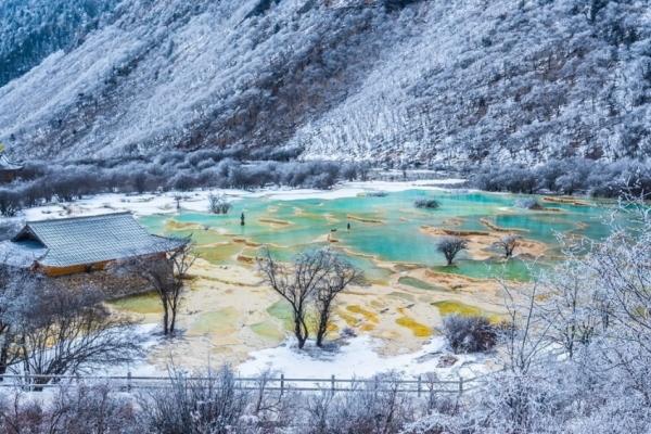 黄龙图片