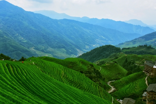 龙脊山图片