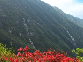 黄龙山