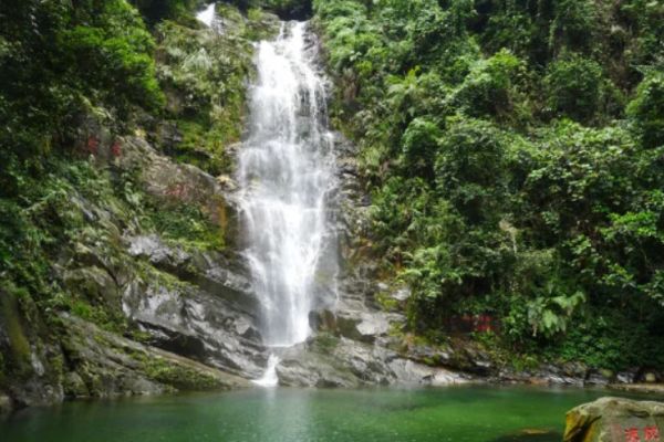 鼎湖山图片