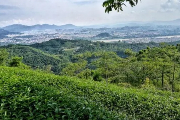 鼎寨山图片