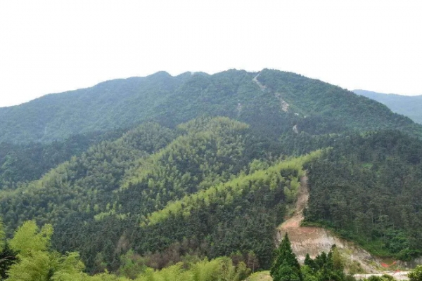 黄龙山图片