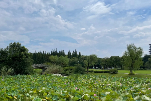 龙背山图片